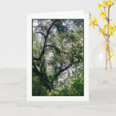 Moss Canopy Wenskaart Kaart (Gele Bloem)