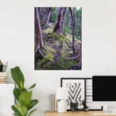 Moss Covered Trail Poster (Thuiskantoor)