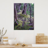 Moss Covered Trail Poster (Keuken)