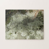 Moss en Lichen op Rock Legpuzzel (Horizontaal)
