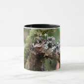 Moss en Lichens Mok (Midden)