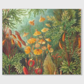 Moss - Ernst Haeckel Cadeaupapier (Vlak)
