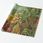 Moss - Ernst Haeckel Cadeaupapier (Uitgerold)