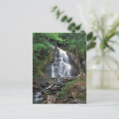 Moss Glen Herfsten Green Mountains Vermont Briefkaart (Staand voorkant)