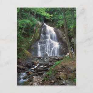Moss Glen Herfsten Green Mountains Vermont Briefkaart