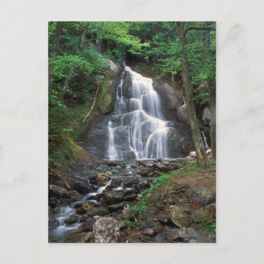 Moss Glen Herfsten Green Mountains Vermont Briefkaart (Voorkant)