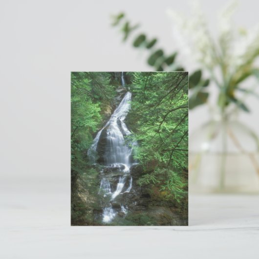 Moss Glen Herfsten Stowe Vermont Briefkaart (Staand voorkant)