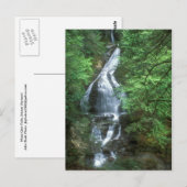 Moss Glen Herfsten Stowe Vermont Briefkaart (Voorkant / Achterkant)