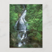 Moss Glen Herfsten Stowe Vermont Briefkaart (Voorkant)