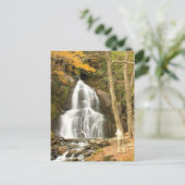 Moss Glen Herfsten Vermont en Photographer Briefkaart (Staand voorkant)