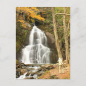Moss Glen Herfsten Vermont en Photographer Briefkaart (Voorkant)