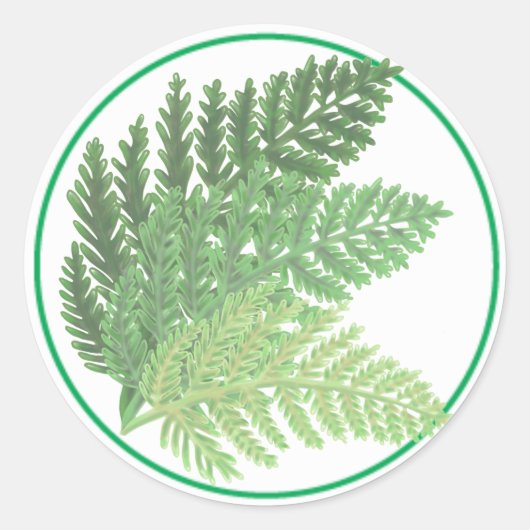 Moss Green Fern Ronde Sticker (Voorkant)