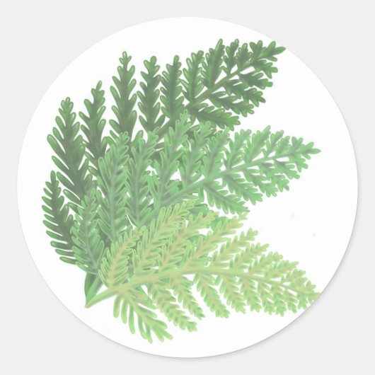 Moss Green Fern Ronde Sticker (Voorkant)