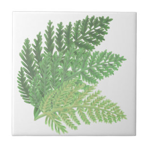Moss Green Fern Tegeltje