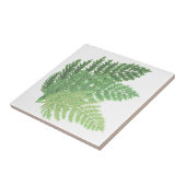Moss Green Fern Tegeltje (Zijkant)