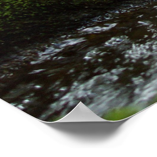 Moss Herfsten Poster (Hoek)