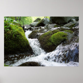 Moss Herfsten Poster