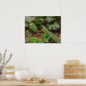 Moss in de Bossen Poster (Keuken)