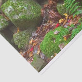 Moss in de Bossen Tissuepapier (Detail)