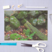 Moss in de Bossen Tissuepapier (Craft)