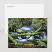 Moss-laden bijkantoren over Munson Creek Briefkaar Briefkaart (Voorkant / Achterkant)