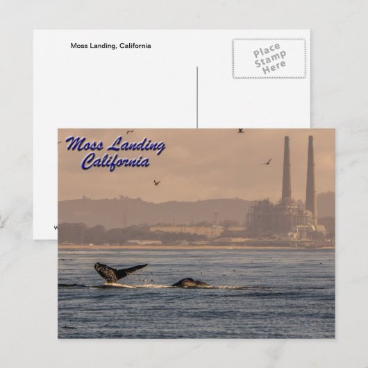 Moss Landing, Californië Briefkaart (Voorkant / Achterkant)