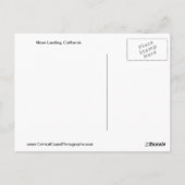 Moss Landing, Californië Briefkaart (Achterkant)