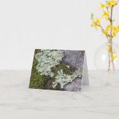 Moss & Lichen Notecard Kaart (Gele Bloem)