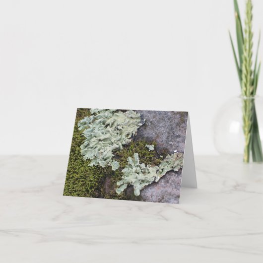 Moss & Lichen Notecard Kaart (Voorkant)