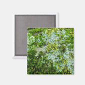 Moss & Lichen over Rock Magnet (Voorkant / Achterkant)