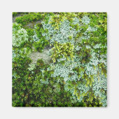 Moss & Lichen over Rock Magnet (Voorkant)