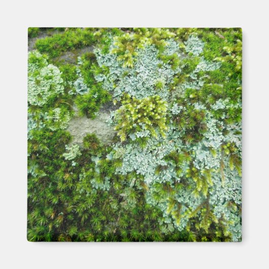 Moss & Lichen over Rock Magnet (Voorkant)
