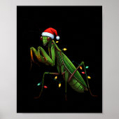 Moss Mantis Christmas Light Santa Hat Animal Insec Poster (Voorkant)