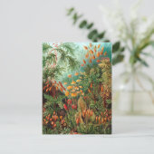 Moss (Muscinae) van Haeckel Briefkaart (Staand voorkant)