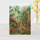 Moss (Muscinae) van Haeckel Kaart (Gele Bloem)