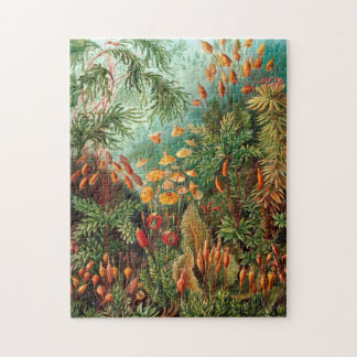 Moss (Muscinae) van Haeckel Legpuzzel
