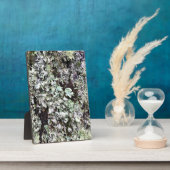 Moss on a Tree, Cape Diseption, Washington Fotoplaat (Zijkant)