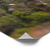 Moss on Bark Poster (Hoek)