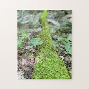 Moss on Fallen Tree Legpuzzel