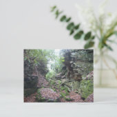 Moss on Rocks Boulders in Mercer County WV Briefkaart (Staand voorkant)