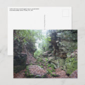 Moss on Rocks Boulders in Mercer County WV Briefkaart (Voorkant / Achterkant)