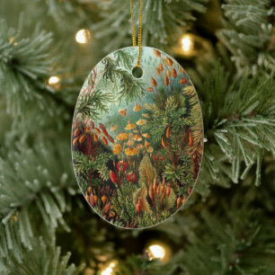 Moss-Planten van Ernst Haeckel, Muscinae Keramisch Ornament