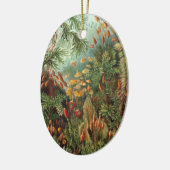  Moss-Planten van Ernst Haeckel, Muscinae Keramisch Ornament (Links)