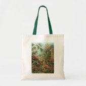  Moss-Planten van Ernst Haeckel, Muscinae Tote Bag (Voorkant)