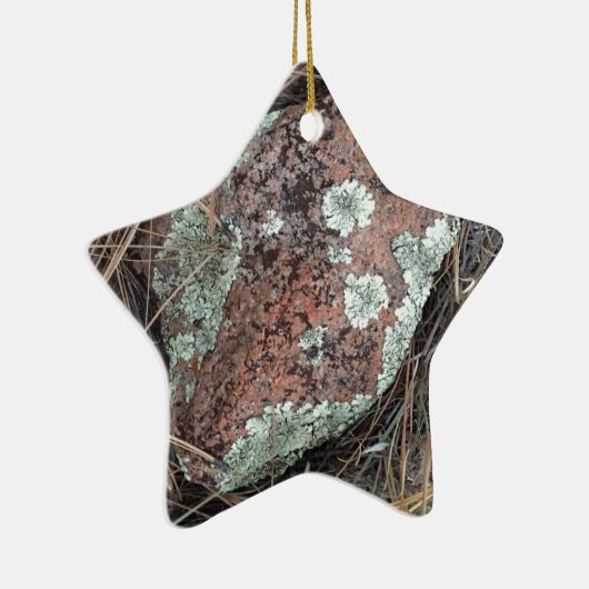 Moss rock lichen keramisch ornament (Rechts)