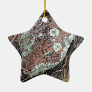 Moss rock lichen keramisch ornament
