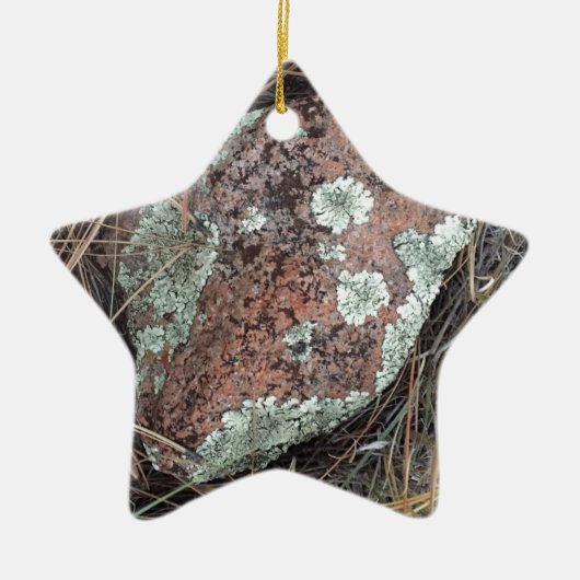 Moss rock lichen keramisch ornament (Voorkant)