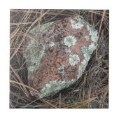 Moss rock lichen tegeltje (Voorkant)