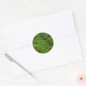 Moss Ronde Sticker (Envelop)