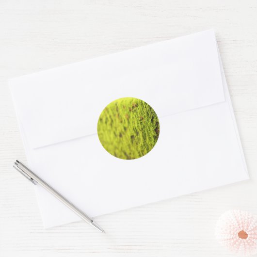 Moss Ronde Sticker (Envelop)